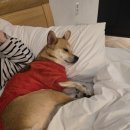 당우목장 이미지