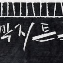 세알콩깍지
