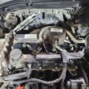 늘푸른카클리닉 이미지