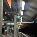 뉴엔드 짐 | 호주 워홀 w42 | 러쉬 마지막 근무, 운동돼지백수의 행복일상