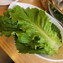 춘천닭갈비막국수 | [ 다산 닭갈비 맛집 ] 유정춘천닭갈비막국수 솔직후기