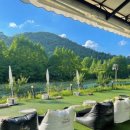 용문 애견 이미지