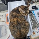 손진규동물병원 이미지