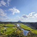 벨리스크린 이미지