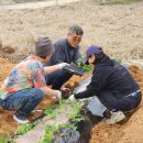 재형농장 이미지