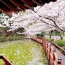 대흘보건진료소 이미지