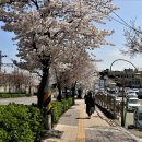 송월동행정복지센터 주차장 이미지