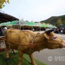 3년만에 돌아온 홍천 인삼·한우 명품축제..30~10월3일 개최 이미지