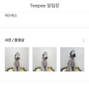 굿댕 이미지