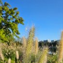 시크릿 행정사 사무소 이미지