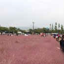 사방테크