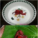 진성하나마트 네이버블로그