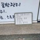 성복배수지 테니스장 | 2023.04 마니커배 참기후기