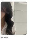 청아미용실 | 수원 미용실 청아 레이어드펌 리얼후기