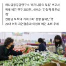 “고기는 NO” 비건 인구 250만…절반가량은 ‘유연한 채식주의자’ 이미지