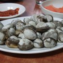 대포오천냥 | 8개월 만에 성사된 독서 모임 벙개 후기