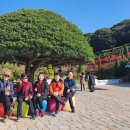 외도 보타니아거제도에서 약 4km 떨어진 섬, 보타니아는 ‘식물낙원(botanic + utopia) 뜻이다 이미지