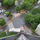 대구 <b>이사</b>는 대구<b>트랜스</b>에서