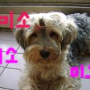 금양아파트 이미지