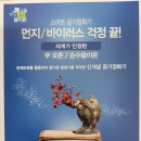 애니원플러스 이미지