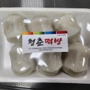 1월 일상