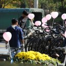 공공용 16 이미지
