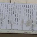 옛살나비추어탕 이미지