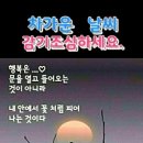 더디어 Daum카페
