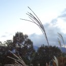 산천농장 이미지