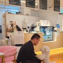 피터펫 애견카페 부산북구점 | [화명동 애견카페 헤브카페] 비 오는 주말 애견카페 두 탕 뛰기.