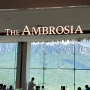 은광통나무집 | 강원도 고성 1박 2일 여행(더엠브로시아 카페, 천진해수욕장, 한계령휴게소)