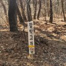 옥천 약수터 | 대전 식장산 등산코스 독수리봉에 가다! 공포의 깔딱고개 소요시간 개구리 산란기