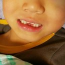 킴스치과의원 이미지