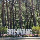 강릉한우 | 강릉 솔향수목원 근처 가족 외식 맛집 추천ㅣ강릉한우백화점 솔직 후기