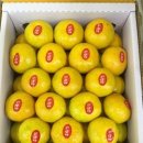 싱싱팜농장 이미지