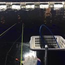 다낚아 낚시터 이미지