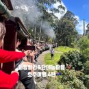 헤이리395 | 호주 단데농마을 맛집 단데농국립공원 퍼핑빌리 꿀팁및 정보