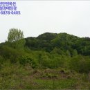 안성면116 네이버블로그