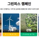 그린피스환경개발 이미지