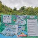 비타민캠핑장 | 밀양 비타민팜 오토캠핑장 후기 | 단풍 가득, 프라이빗한 다구역 캠핑🍁