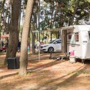 백일야영장 이미지