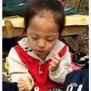 안젤라농장 이미지