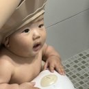 폴레드 샤워핸들 l 아기 목욕핸들 언제부터? 허그베어 후기