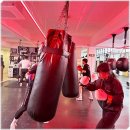 올스타 복싱클럽 이미지