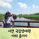노루와사슴유치원 | 서천 국립생태원 하다람놀이터(전기차,입장료)