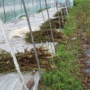 순재농장 이미지