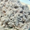 동백아나고 이미지