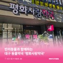 평화사랑약국 이미지