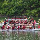 파크사랑 이미지