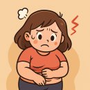 단기간 다이어트 실패하는 결정적 이유 3가지
